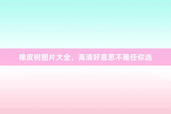 橡皮树图片大全，高清好意思不雅任你选